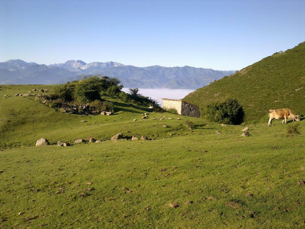 El Sumiciu ξενώνας Mieres  Εξωτερικό φωτογραφία